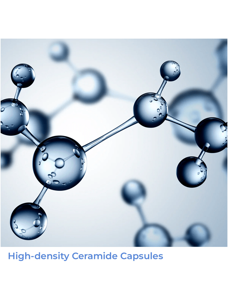 High-density Ceramide Capsules supporting AESTURA Atobarrier 365 Lotion 150ml for enhanced skin barrier.