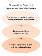 Beauty of Joseon Ginseng Essence Water 150ml benefits: hydrates, nourishes, retains moisture, contains saponin and niacinamide.