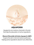 Beauty of Joseon Ginseng Essence Water 150ml aquaporin moisture channels and glyceryl glucoside benefits