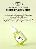 Beauty of Joseon Calming Serum : Green Tea + Panthenol 30ml