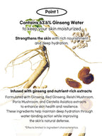 Beauty of Joseon Revive Serum : Ginseng + Snail Mucin 30ml