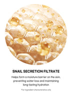 Beauty of Joseon Revive Serum : Ginseng + Snail Mucin 30ml