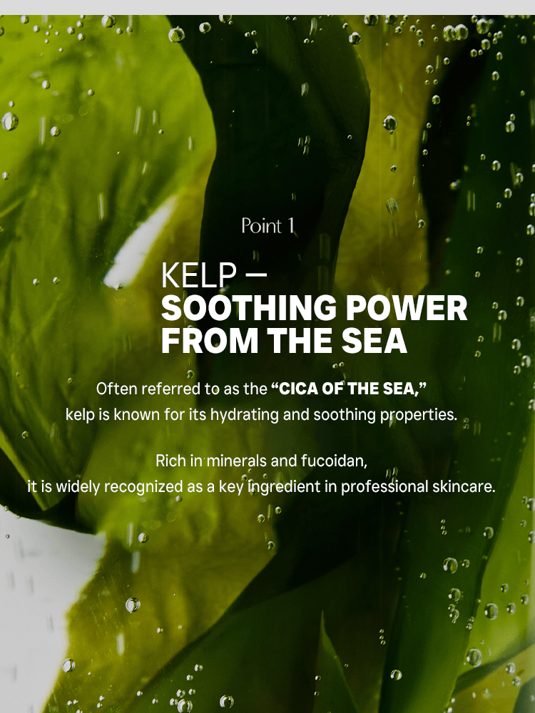 BIODANCE Refreshing Sea Kelp Real Deep Mask 34g #4ea