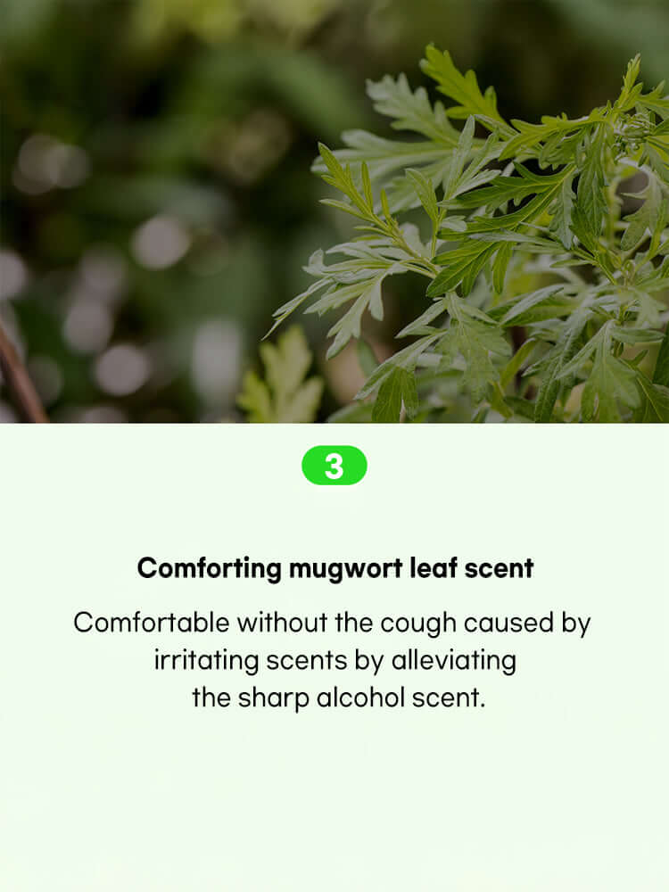 FATION Nosca9 Trouble Body Mist 145ml