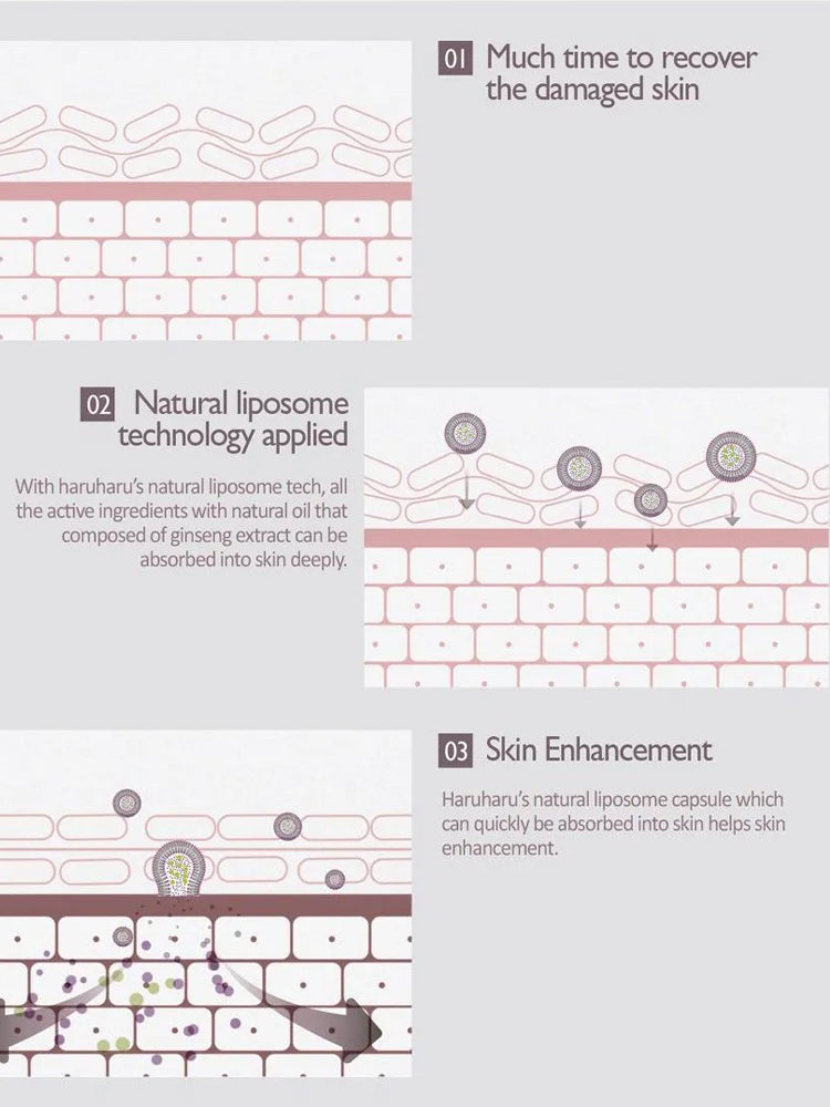 Infographic explaining the benefits of HARUHARU WONDER Black Rice Hyaluronic Toner 150ml for skin recovery.
