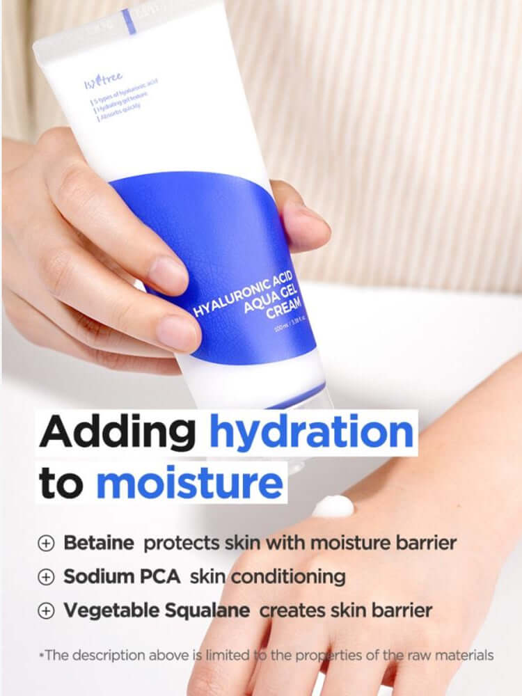 ISNTREE Hyaluronic Acid Aqua Gel Cream 100ml