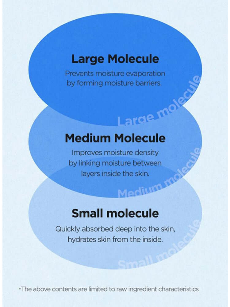 ISNTREE Hyaluronic Acid Aqua Gel Cream 100ml