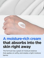 ISNTREE Hyaluronic Acid Moist Cream 100ml