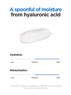 ISNTREE Hyaluronic Acid Moist Cream 100ml