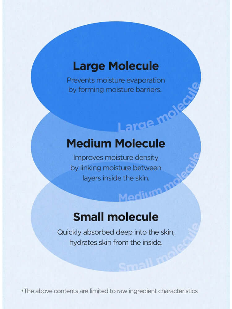 Diagram explaining moisture molecules: Large, Medium, and Small Molecule benefits for skin hydration.