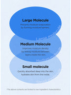 Diagram explaining moisture molecules: Large, Medium, and Small Molecule benefits for skin hydration.