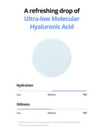 ISNTREE Ultra-Low Molecular Hyaluronic Acid Toner 300ml