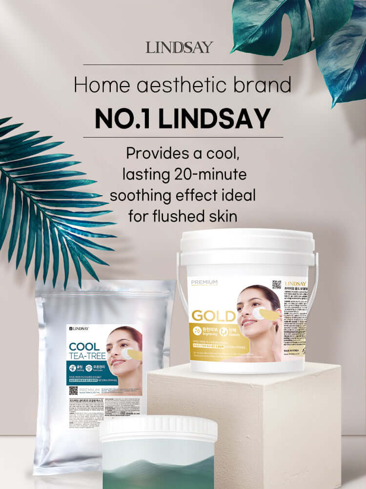 LINDSAY Modeling Mask Cup Pack 28g