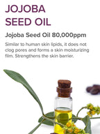 Jojoba Seed Oil 80,000ppm in a clear bottle with green leaves, promoting skin moisture and barrier protection.