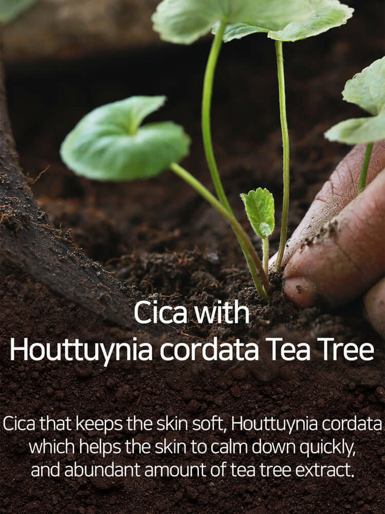 MARY&MAY CICA Houttuynia Tea Tree Calming Mask 400g 30EA