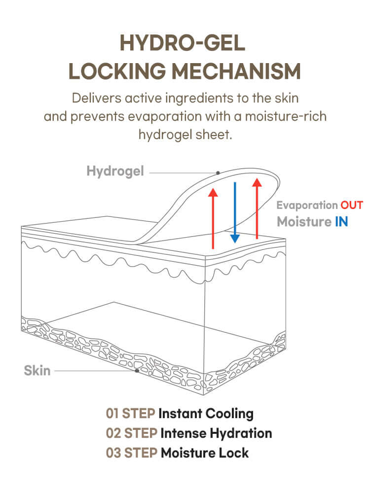 Hydrogel locking mechanism diagram illustrating moisture retention and active ingredient delivery for skincare.