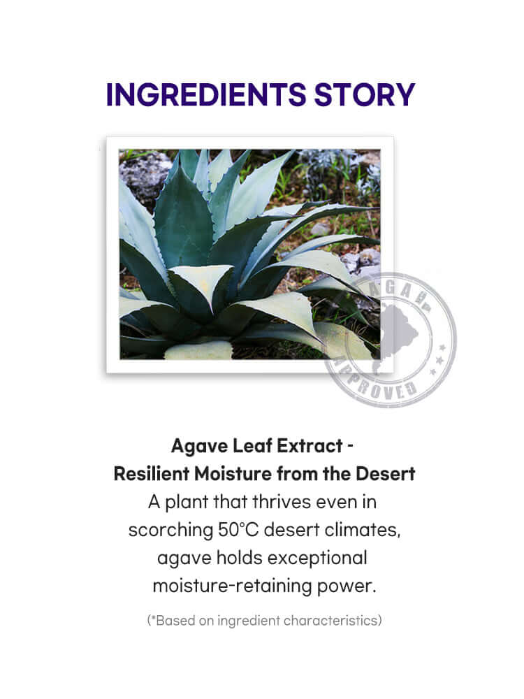 PETITFEE Agave Cooling Hydrogel Eye patch 84g (60pieces,30pairs)