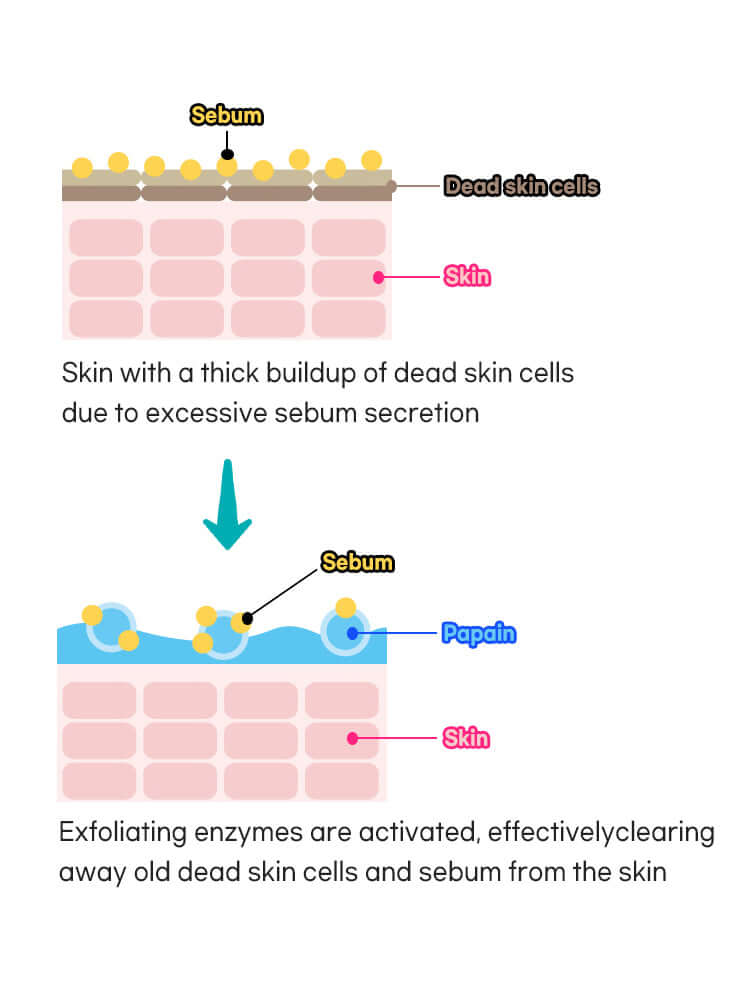 PETITFEE β-Glucan Enzyme Powder Wash 80g