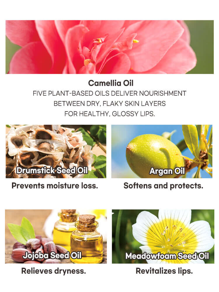 PETITFEE Oil Blossom Lip Mask 15g #Camelia Seed Oil (Barrier Protection)