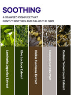 PETITFEE Agave Cooling Hydrogel Face Mask 32g #5pcs