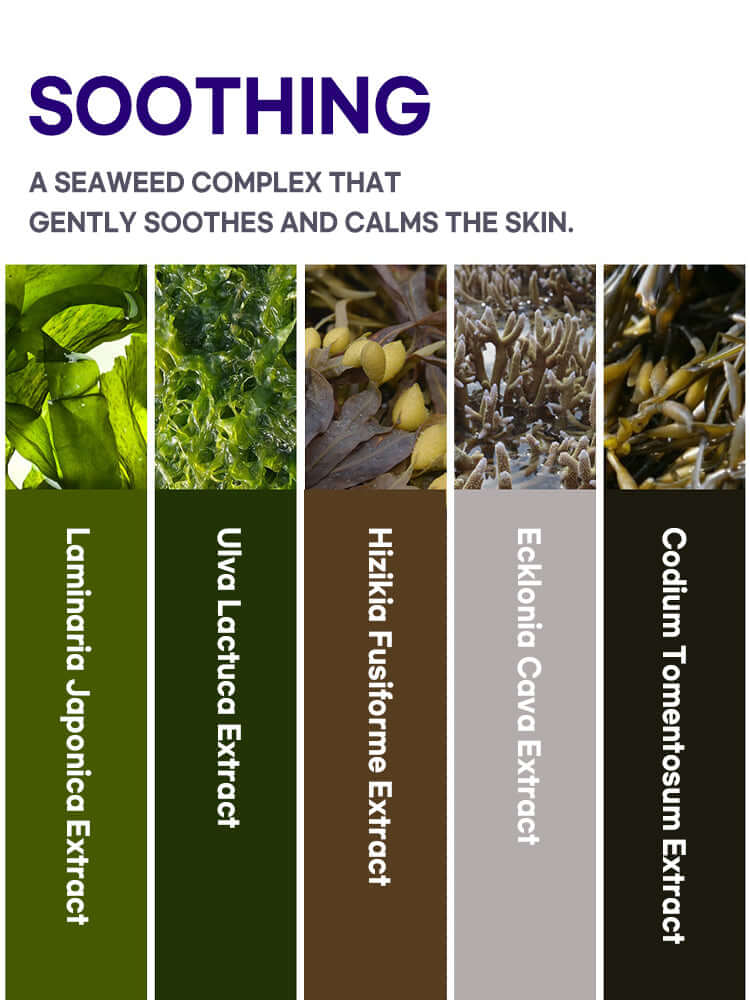 PETITFEE Agave Cooling Hydrogel Face Mask 32g #5pcs