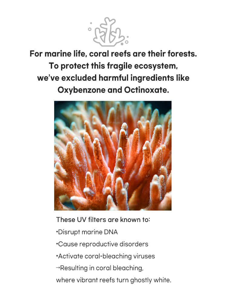 rom&nd Zero Sun Clean 50ml SPF50+/PA++++