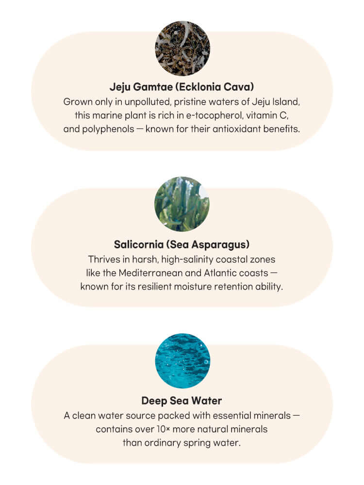 rom&nd Zero Sun Clean 50ml SPF50+/PA++++