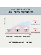 rom&nd  Han All Lash Serum 8.0ml