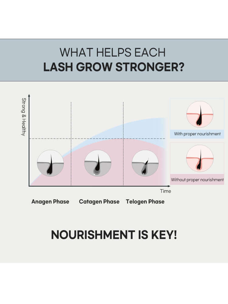 rom&nd  Han All Lash Serum 8.0ml