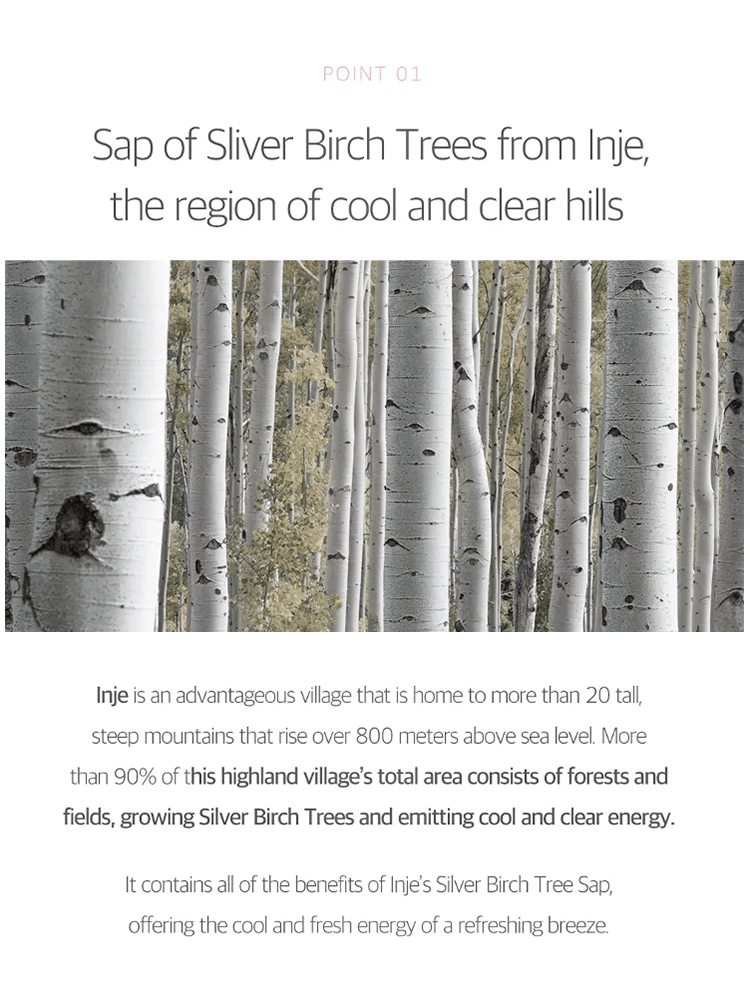 ROUND LAB Birch Juice Moisturizing Tone Up Sunscreen 50ml Sap of Sliver Birch Trees from Inje, a region known for cool and clear hills, highlighting natural beauty.
