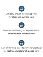 ROUND LAB 1025 Dokdo Cleanser 150ml