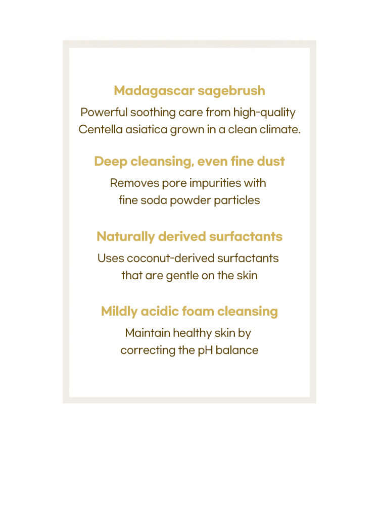 SKIN1004 Madagascar Centella Ampoule Foam 125ml