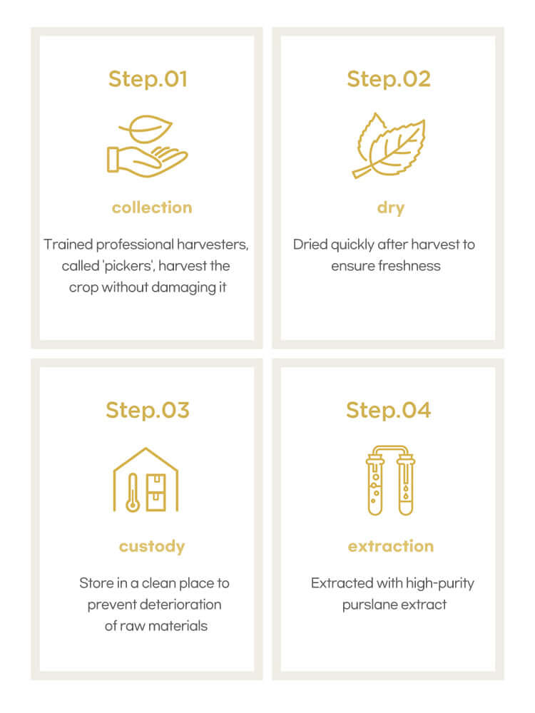 SKIN1004 Madagascar Centella Ampoule Foam 125ml