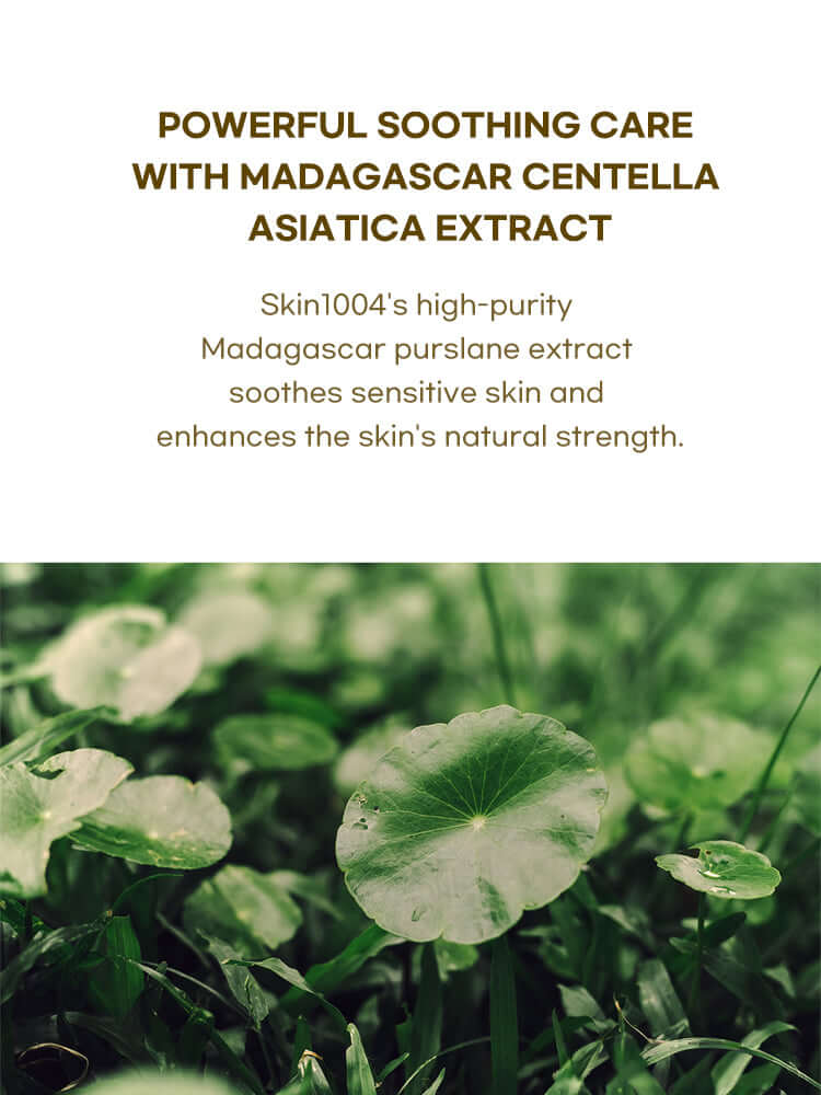 SKIN1004 Madagascar Centella Toning Toner 210ml