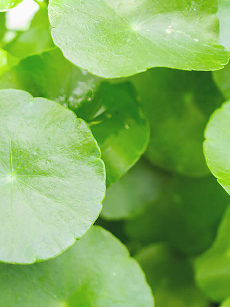 TENZERO Solution Calming Cica Sheet Mask 25ml