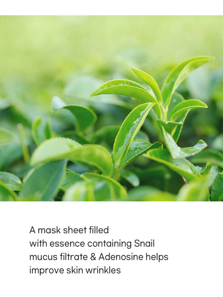 TENZERO Greentea Sheet Mask 25ml, a sheet mask with green tea, snail mucus, and adenosine for skincare benefits.