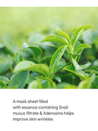 TENZERO Greentea Sheet Mask 25ml, a sheet mask with green tea, snail mucus, and adenosine for skincare benefits.