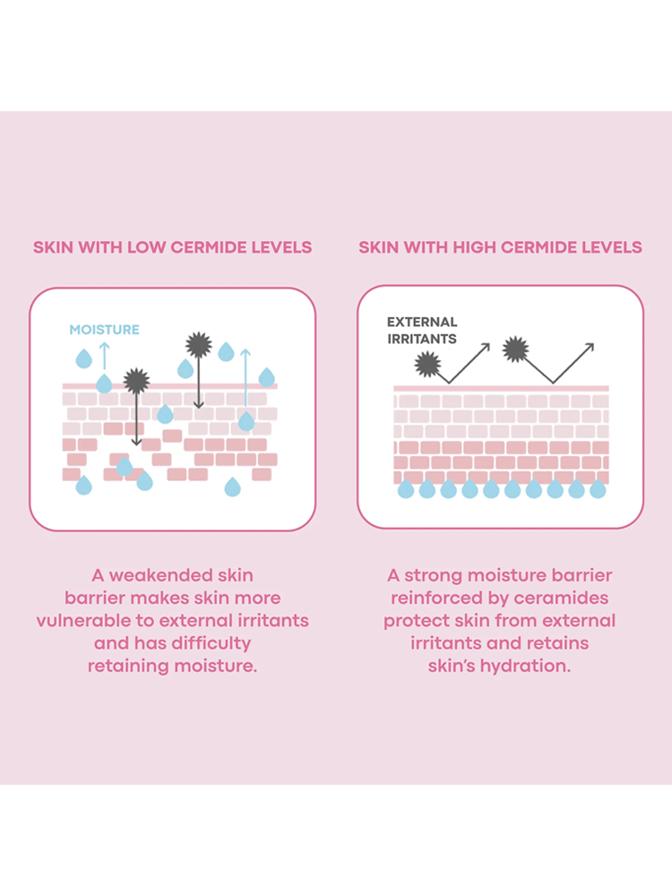TONY MOLY Wonder Ceramide Mochi Toner Illustration comparing skin with low ceramide levels to skin with high ceramide levels, emphasizing hydration.