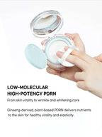 VT PDRN Essence Glow Sun Pact 10g